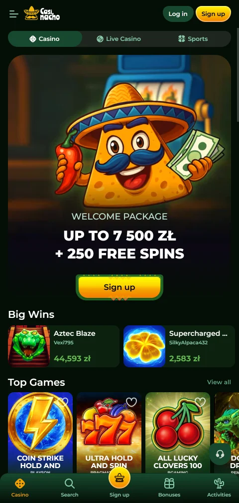 Casinacho Casino mobile access with browser play and account functions
