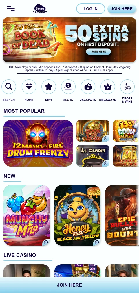 Dream Jackpot Casino mobile play and accessibility review
