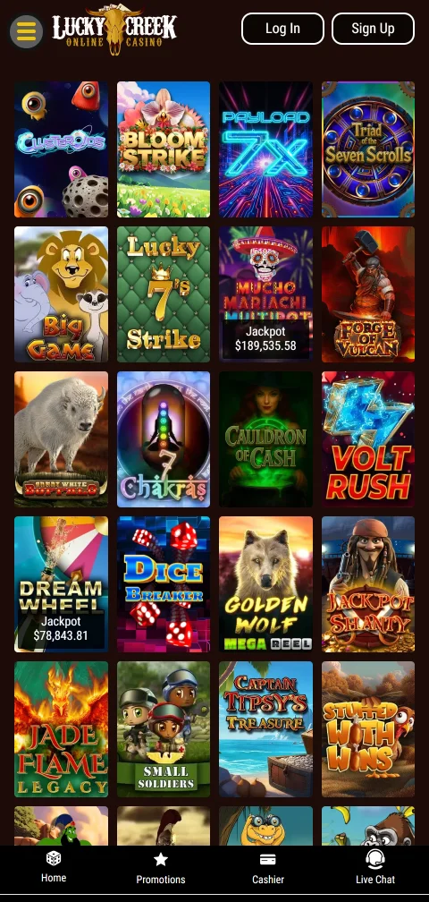 Lucky Creek Casino deposits withdrawals and payment methods overview