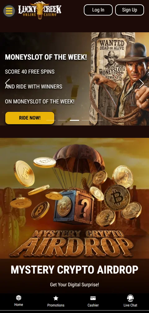 Lucky Creek Casino security licence and player protection summary