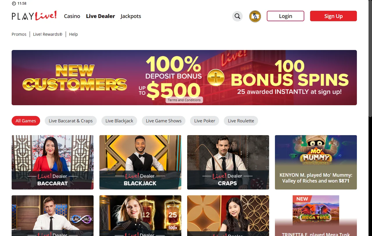 PlayLive Casino overview of live dealer tables and slot variety
