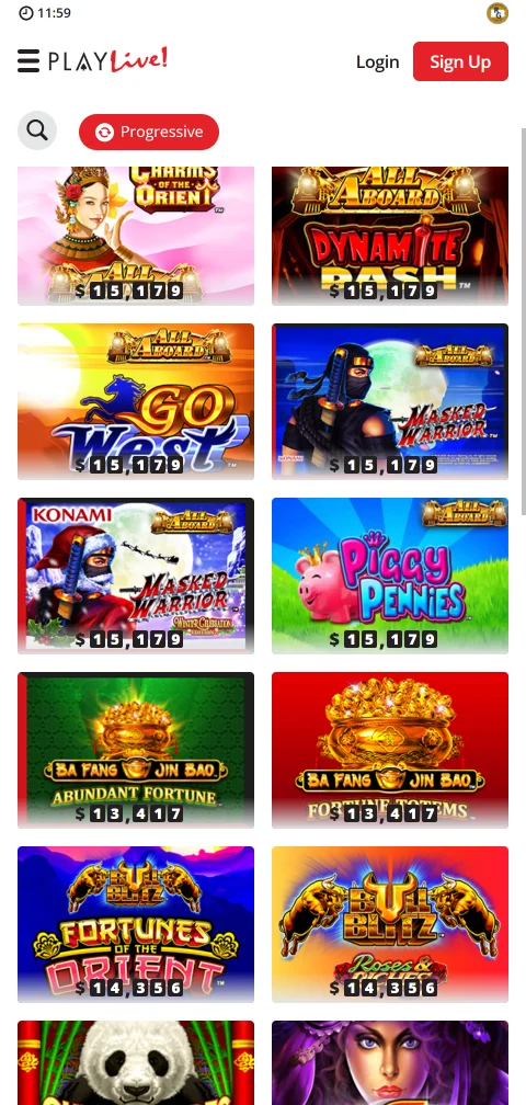 PlayLive Casino payment methods and withdrawal options explained
