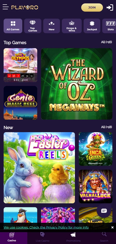 Playoro Casino security checks, licensing concerns, and player protection notes