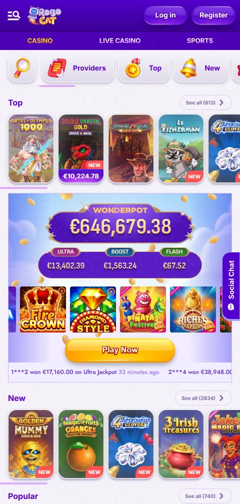 RoboCat Casino security, licence checks, and player protection focus