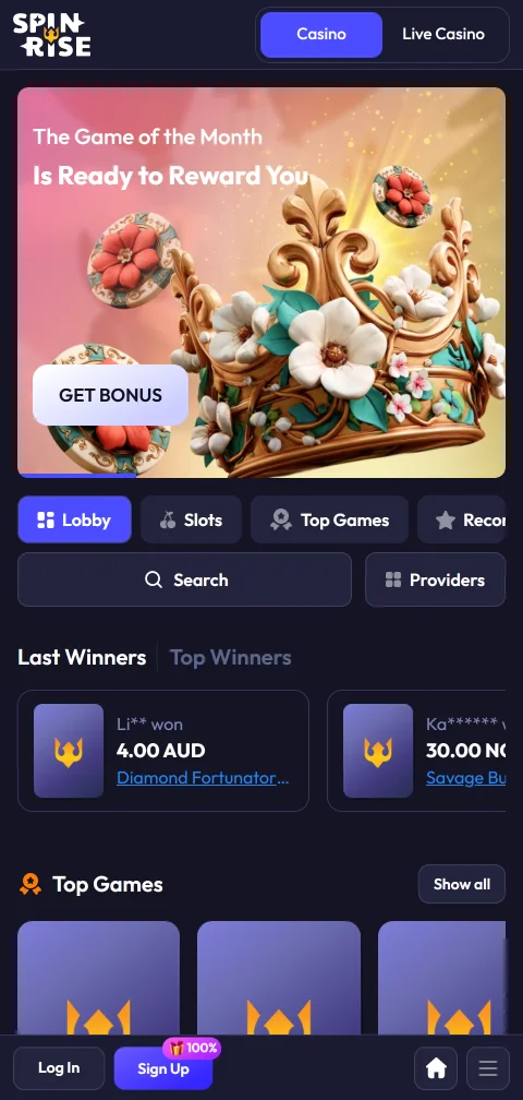 Spinrise Casino mobile access for browser play on smartphones