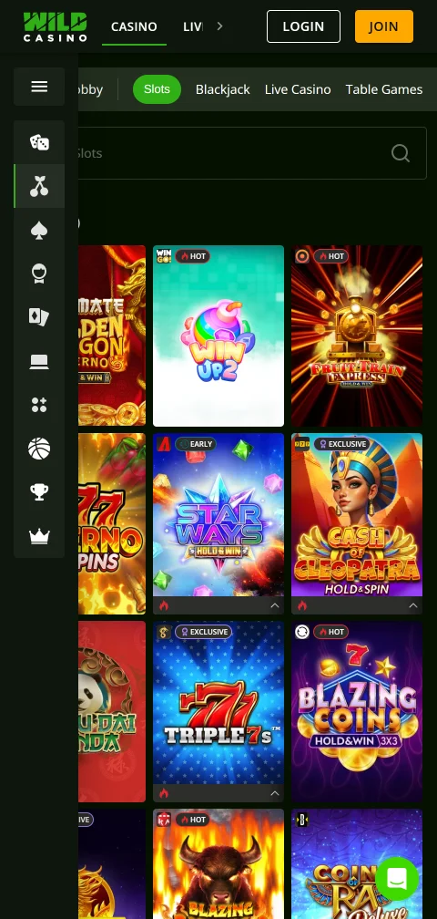 Wild Casino security, licence details and player protection overview
